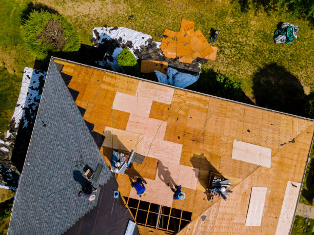 Best Shingle Roofing Installation  in Forty Fort, PA